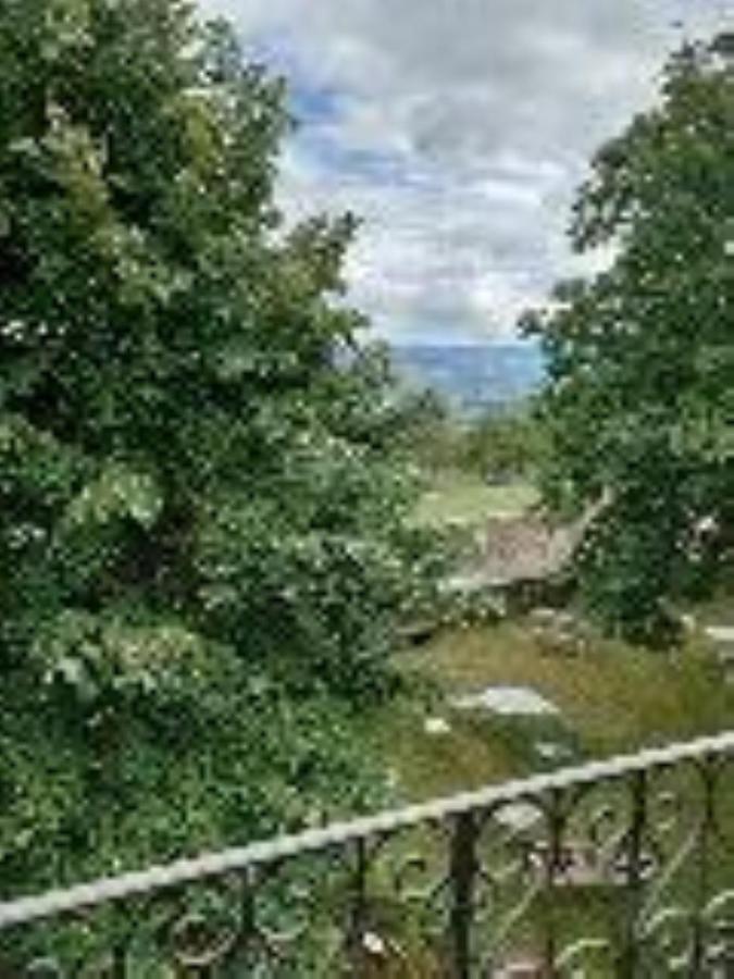 Chateau De Riverie Chambres Et Table D'Hotes Bagian luar foto