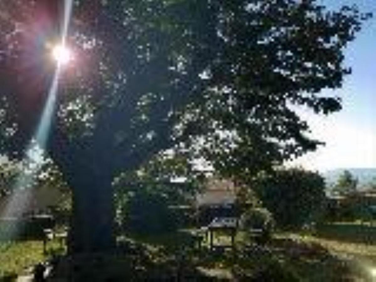 Chateau De Riverie Chambres Et Table D'Hotes Bagian luar foto