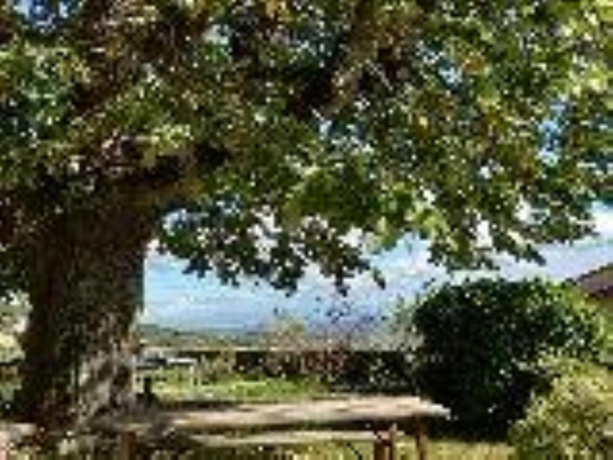 Chateau De Riverie Chambres Et Table D'Hotes Bagian luar foto