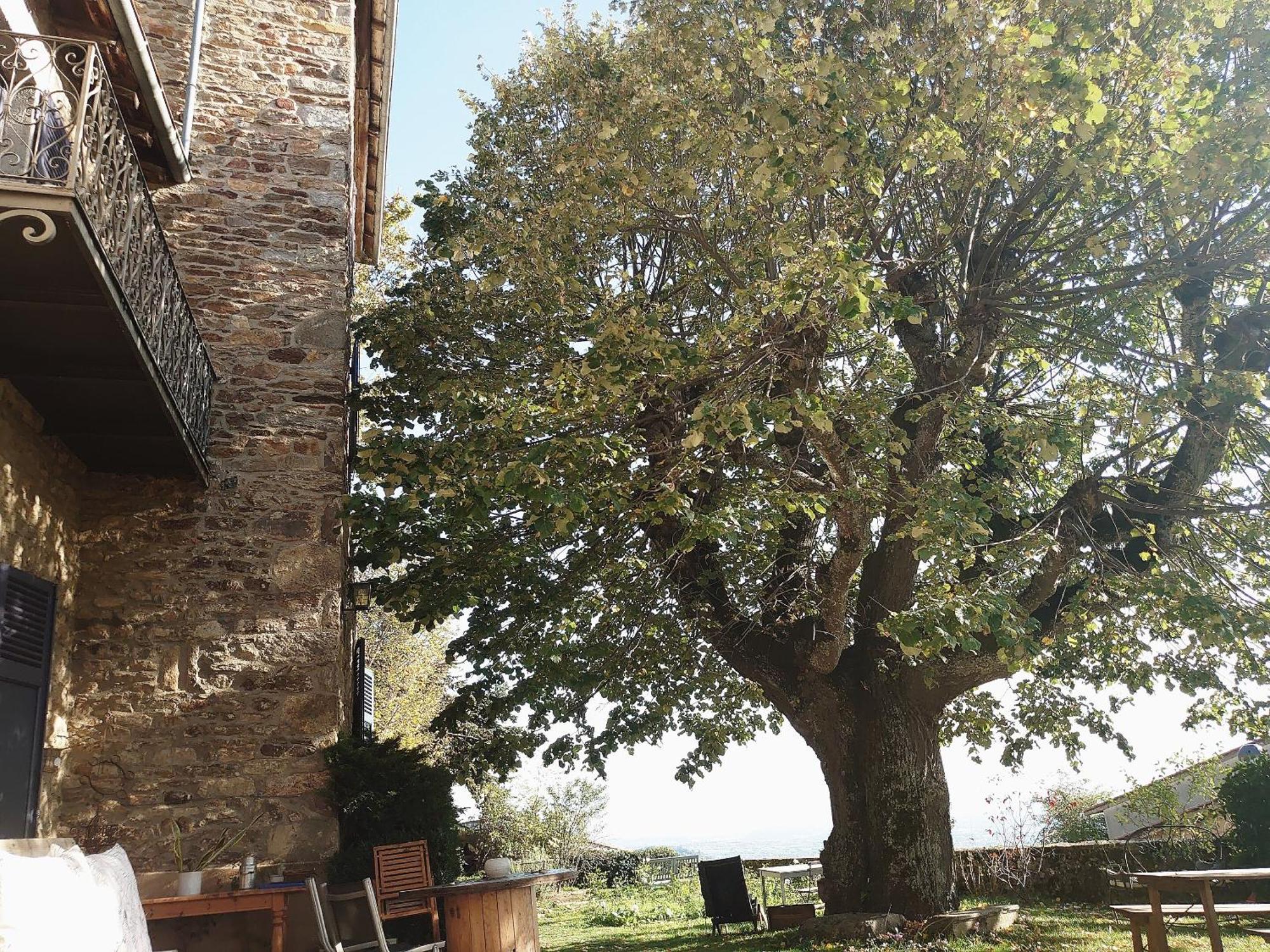 Chateau De Riverie Chambres Et Table D'Hotes Bagian luar foto